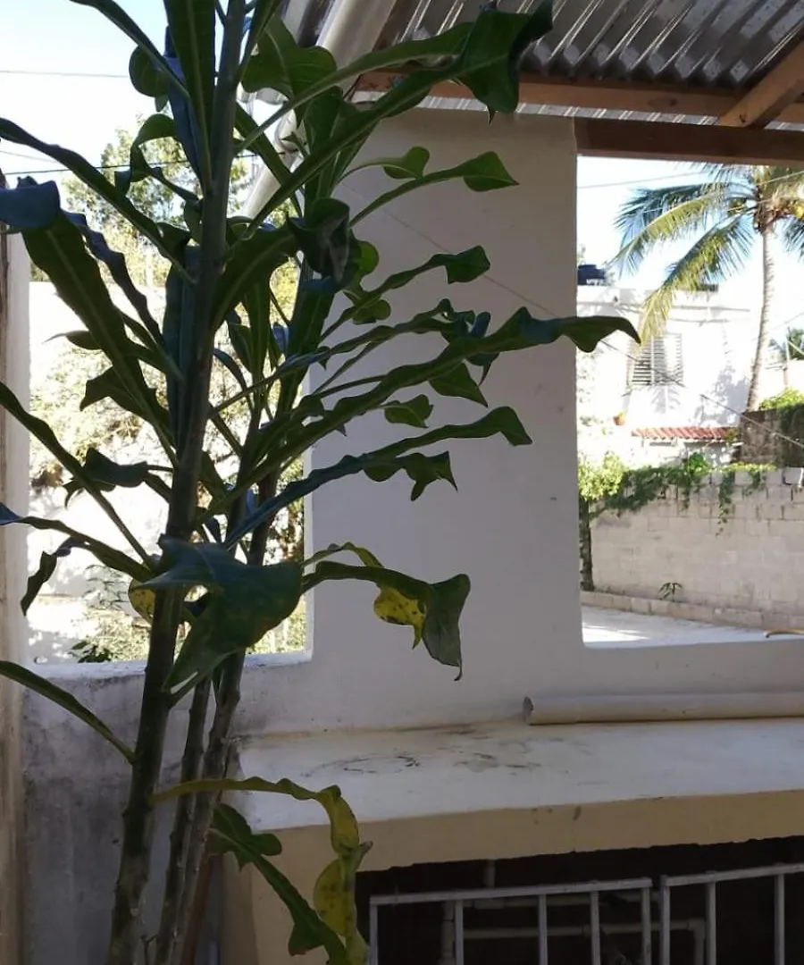 Guest House A&H Boca Chica 0*,  Dominican Republic